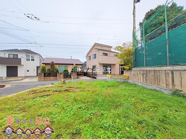 撮影日(2025-10-20 00:00:00)