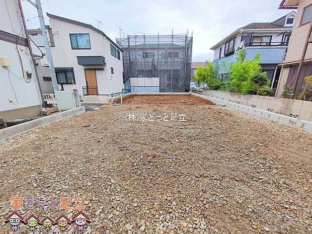 撮影日(2025-10-22 00:00:00)