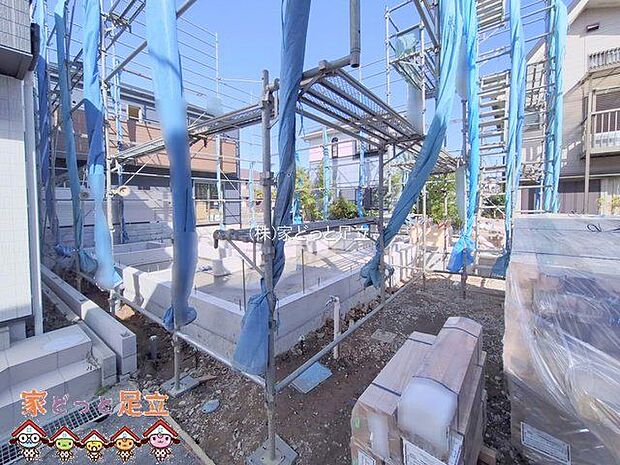 撮影日(2025-11-12 00:00:00)