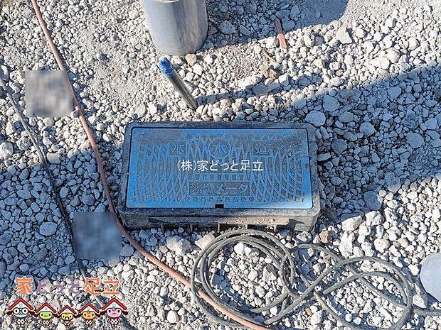 撮影日(2026-01-08 00:00:00)