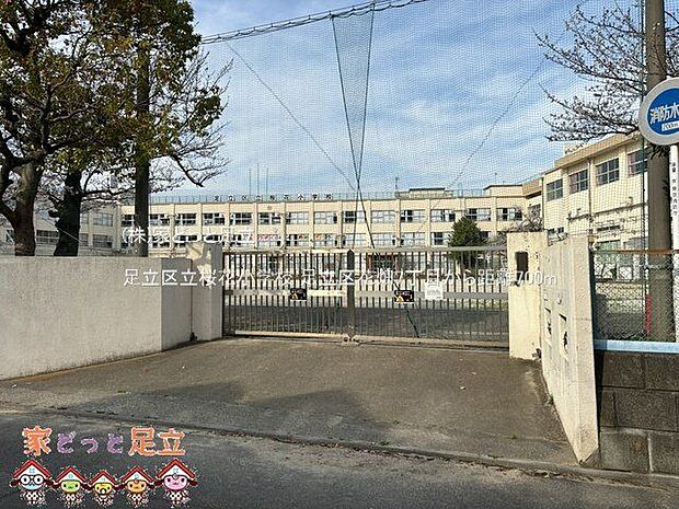 足立区立桜花小学校 撮影日(2025-03-28) 700m
