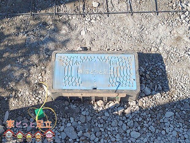 撮影日(2026-01-08 00:00:00)