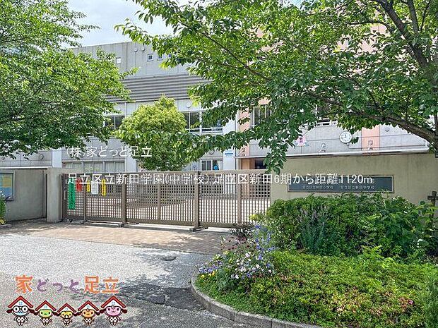 足立区立新田学園(中学校) 撮影日(2023-05-26) 1120m