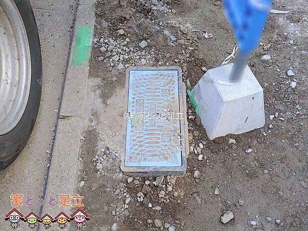 撮影日(2026-01-16 00:00:00)