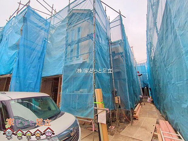 撮影日(2025-12-03 00:00:00)