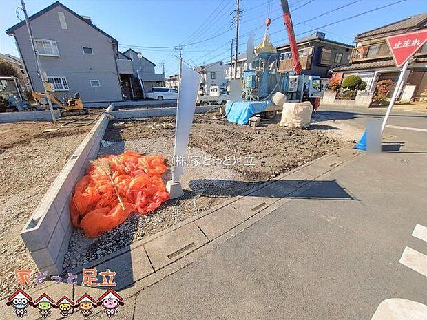 撮影日(2026-02-04)