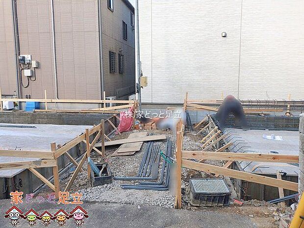 撮影日(2026-01-20 00:00:00)