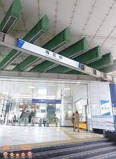 梅島駅(東武 スカイツリーライン) 徒歩19分。 1500m