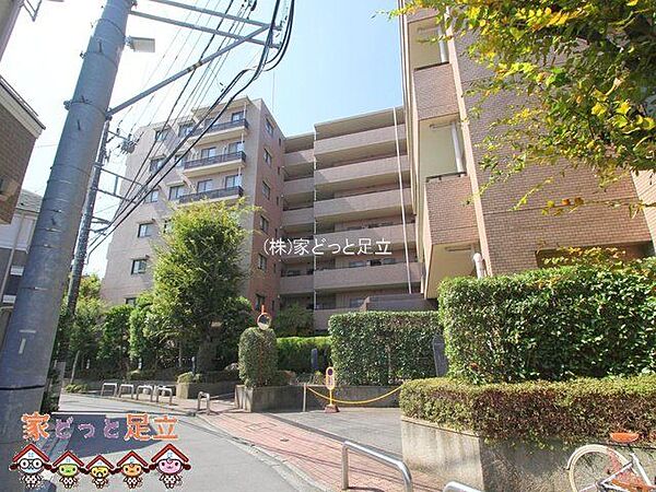 撮影日(2024-10-02 00:00:00)