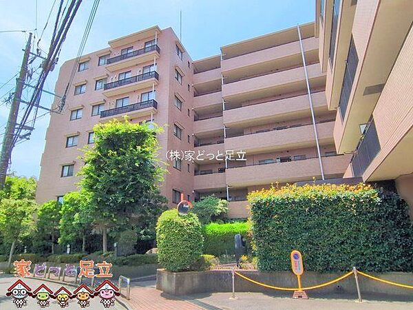 撮影日(2025-06-30 00:00:00)