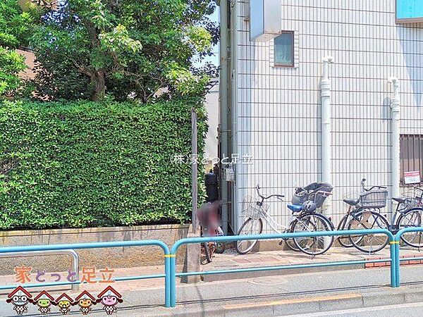 撮影日(2025-06-30 00:00:00)