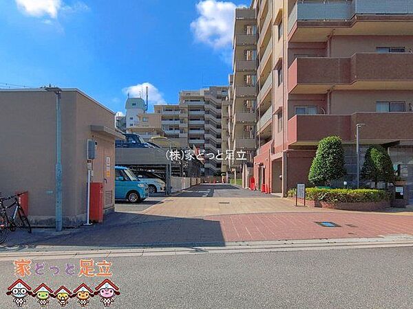 撮影日(2026-08-04 00:00:00)