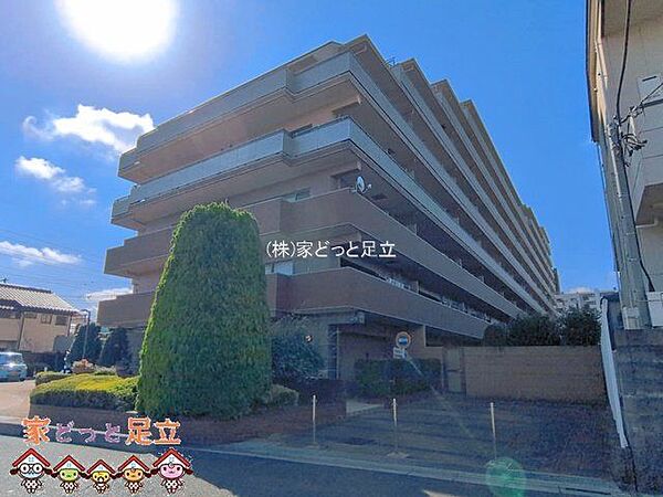 撮影日(2026-08-04 00:00:00)