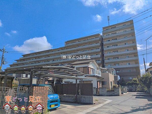 撮影日(2026-08-04 00:00:00)