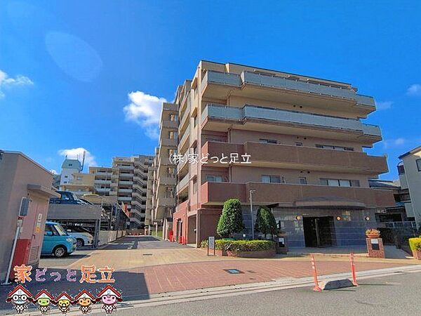 撮影日(2026-08-04 00:00:00)
