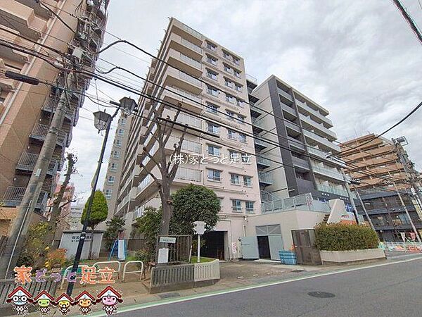 撮影日(2026-01-21 00:00:00)
