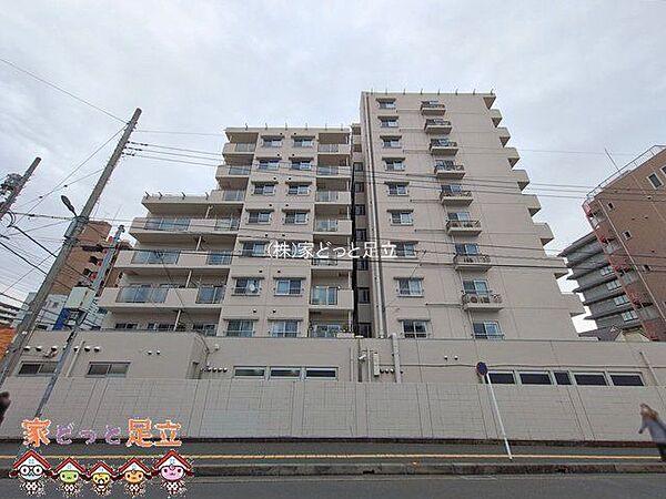 撮影日(2026-01-21 00:00:00)