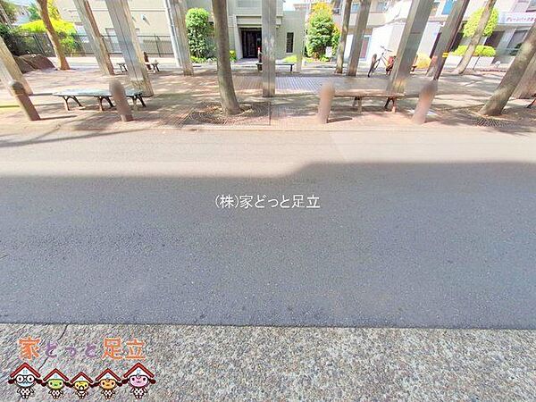 撮影日(2025-09-29 00:00:00)