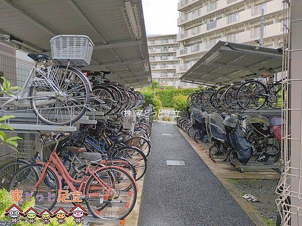 撮影日(2026-06-09 00:00:00)