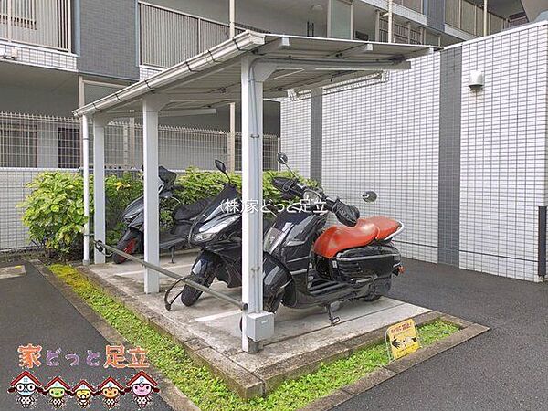 撮影日(2026-06-09 00:00:00)