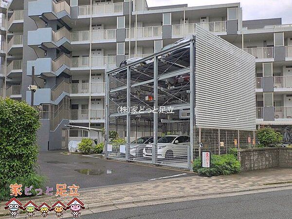 撮影日(2026-06-09 00:00:00)