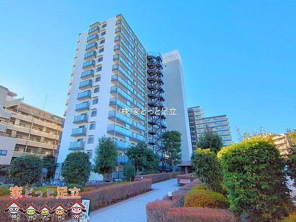 撮影日(2025-01-08 00:00:00)
