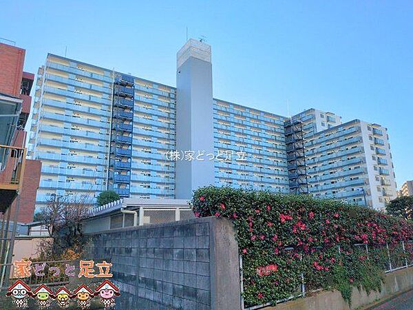 撮影日(2025-01-08 00:00:00)