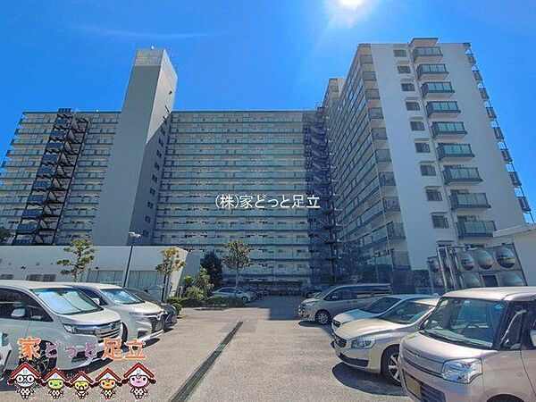 撮影日(2026-04-08 00:00:00)
