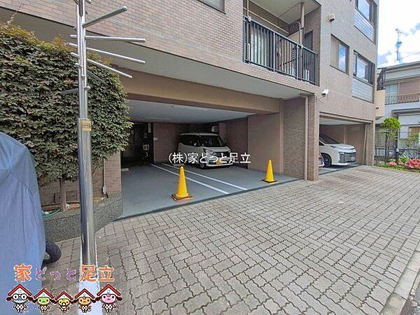 撮影日(2026-05-25 00:00:00)