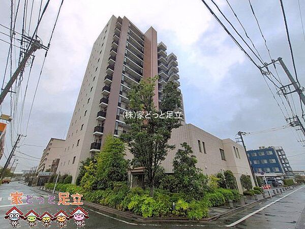 撮影日(2026-09-16 00:00:00)