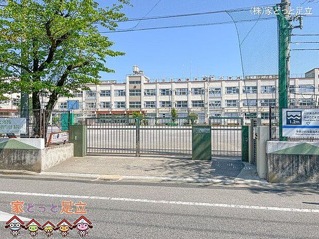 足立区立西新井第二小学校 撮影日(2023-05-04) 460m