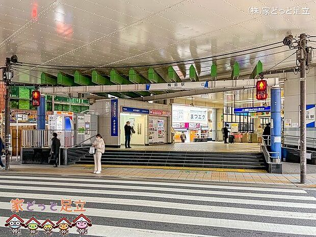 東武伊勢崎・大師線「梅島」駅 撮影日(2022-03-29) 240m