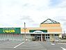 周辺：いなげや木更津請西店（577m）