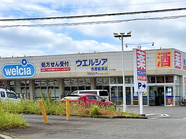 ウエルシア市原能満店（1200m）