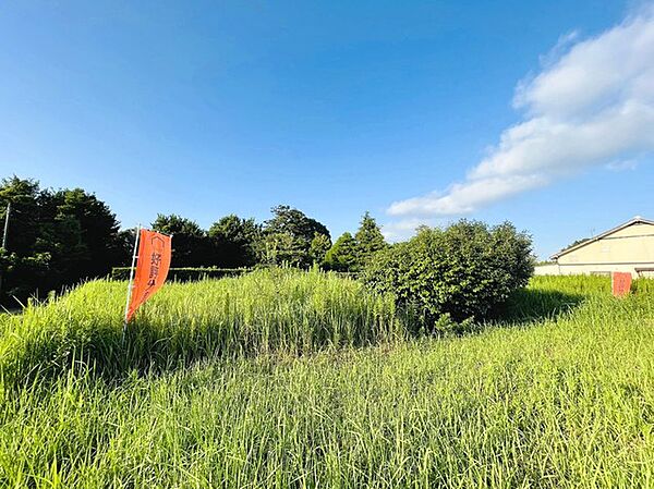 建築条件なし売地