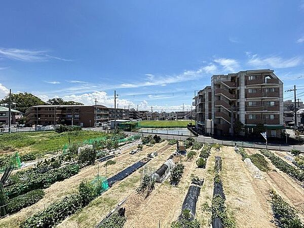 【眺望】ベランダからの眺めです。南に面して高い建物がなく開けていますので、日がよく入り気持ちが良いですよ。