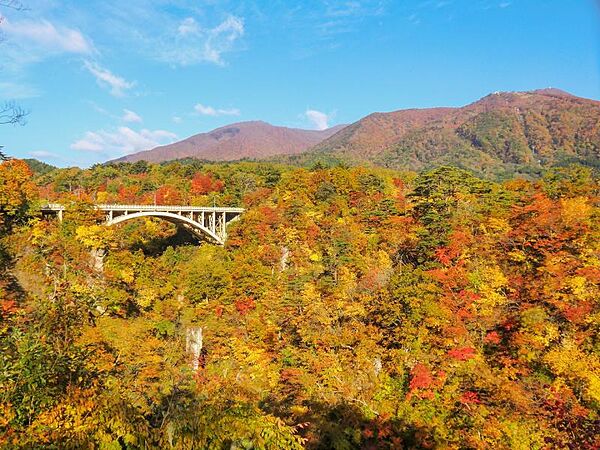 detached 宮城県大崎市鳴子温泉字星沼
地図を見る