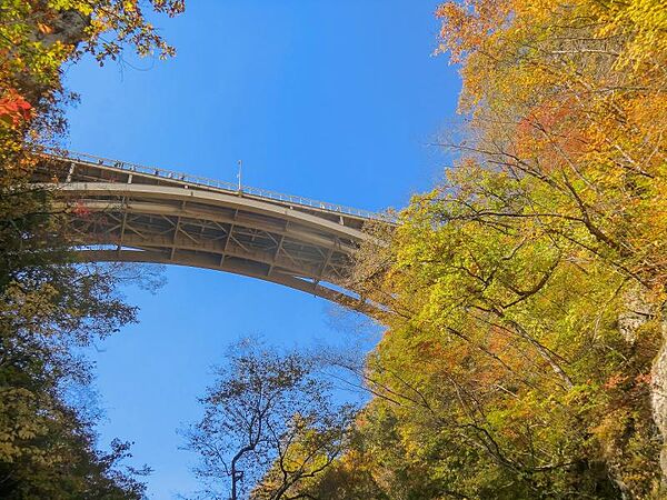 detached 宮城県大崎市鳴子温泉字星沼
地図を見る