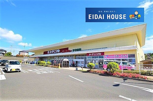ヨークベニマル南中山店 徒歩13分。 990m
