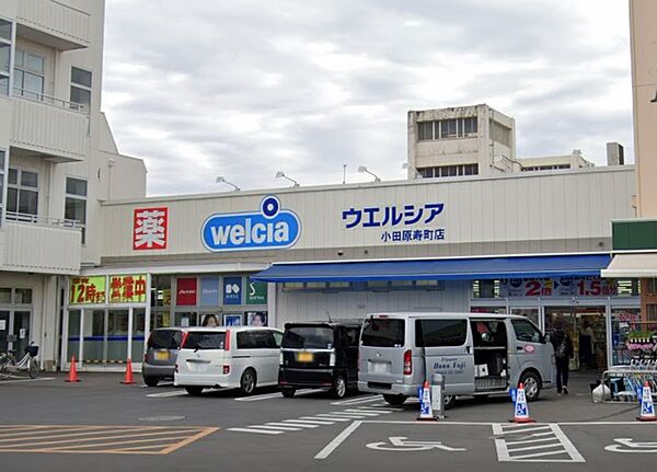 ウエルシア小田原寿町店まで約630m（徒歩8分）