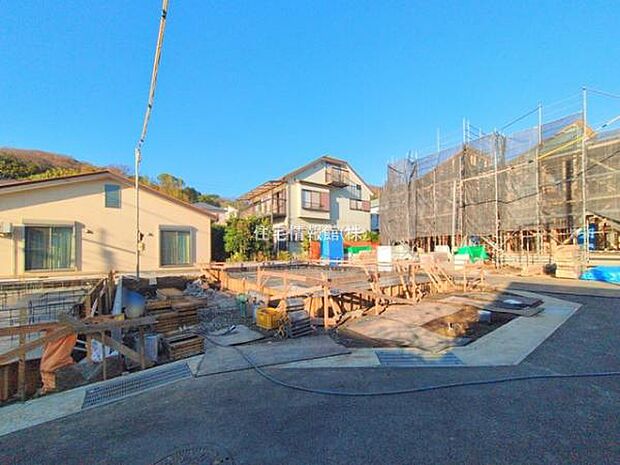 現地写真です。