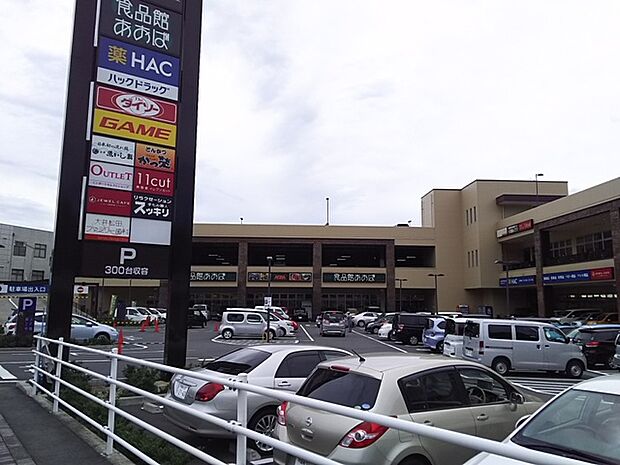 食品館あおば 大井松田店まで約1660m（徒歩21分）