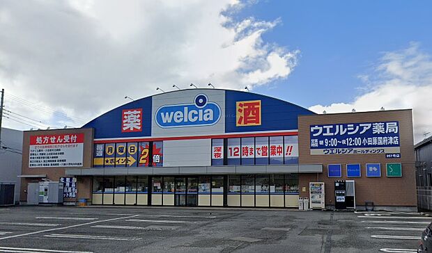 ウエルシア小田原国府津店まで約1010m(徒歩13分)