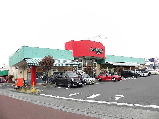 しまむらストアー 中原御殿店まで約350m(徒歩5分)
