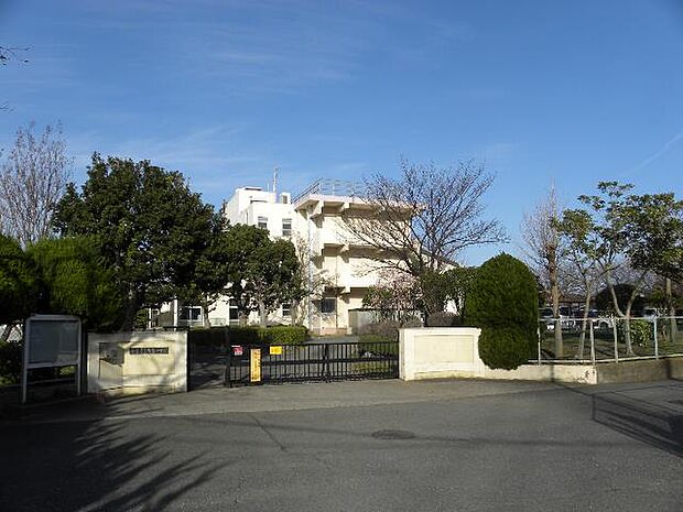 平塚市立南原小学校まで約300m(徒歩4分)