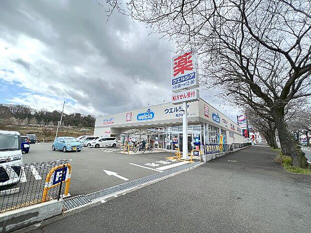 ウエルシア秦野尾尻店まで約70m（徒歩1分）