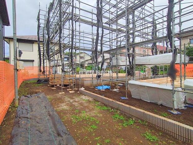 現地写真です。