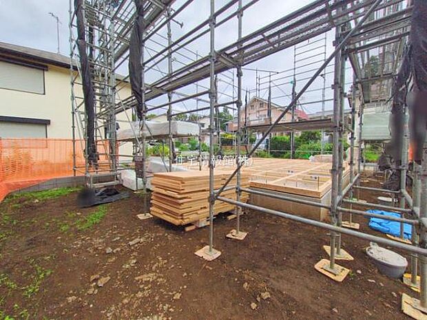 現地写真です。