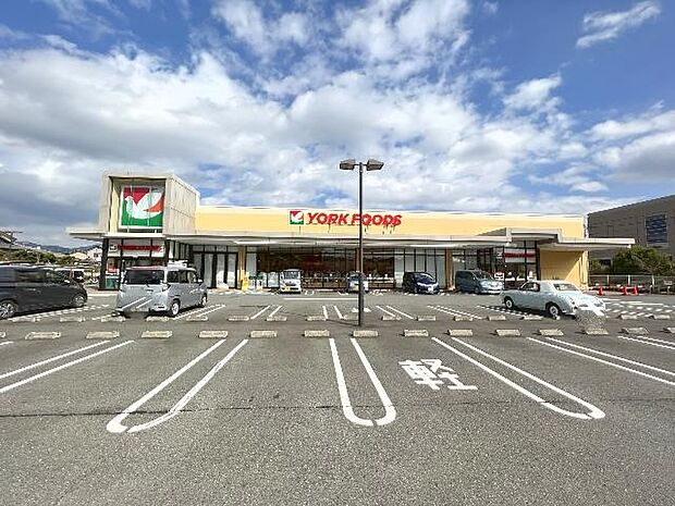 ヨークフーズ 秦野緑町店まで約420m(徒歩6分)