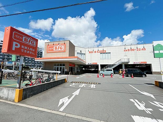 ザ・ビッグ 平塚真田店まで約1500m（徒歩19分）